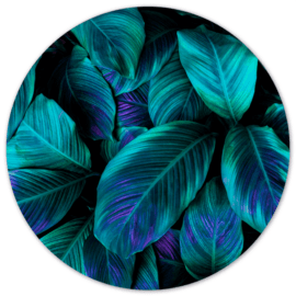 Muurcirkel art 'Green Purple Plant'