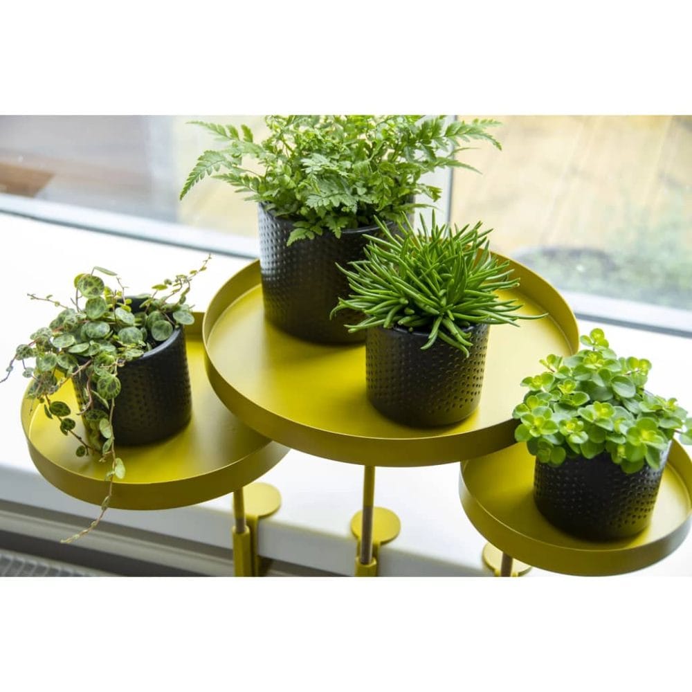 Esschert Design Plantenblad met klem rond L goudkleurig