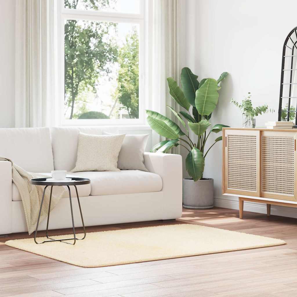 Hoogpolig Vloerkleed Navarra Polyester Kleurig Crème - Afbeelding 12