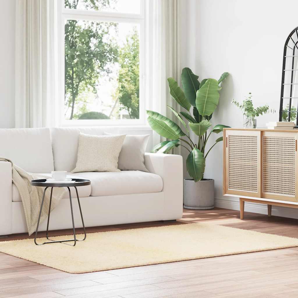 Hoogpolig Vloerkleed Navarra Polyester Kleurig Crème - Afbeelding 14