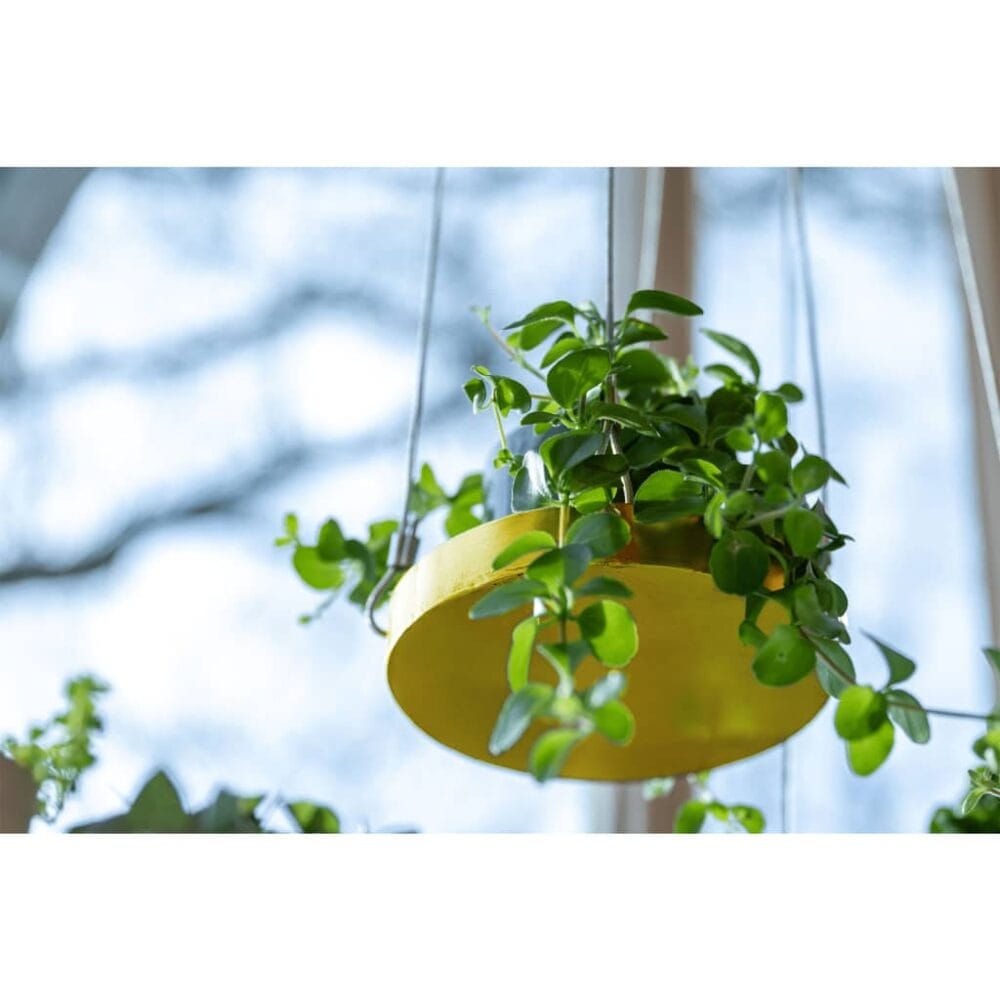Hangend Plantenblad rond goudkleurig - Esschert Design